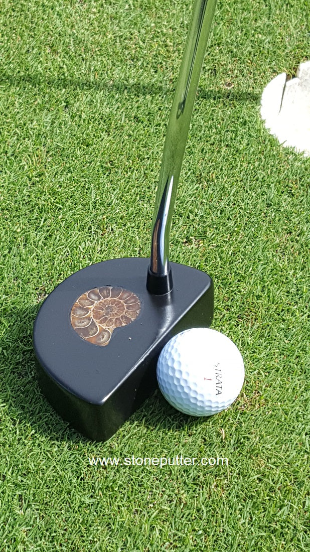 Fossil Series Stone Putter