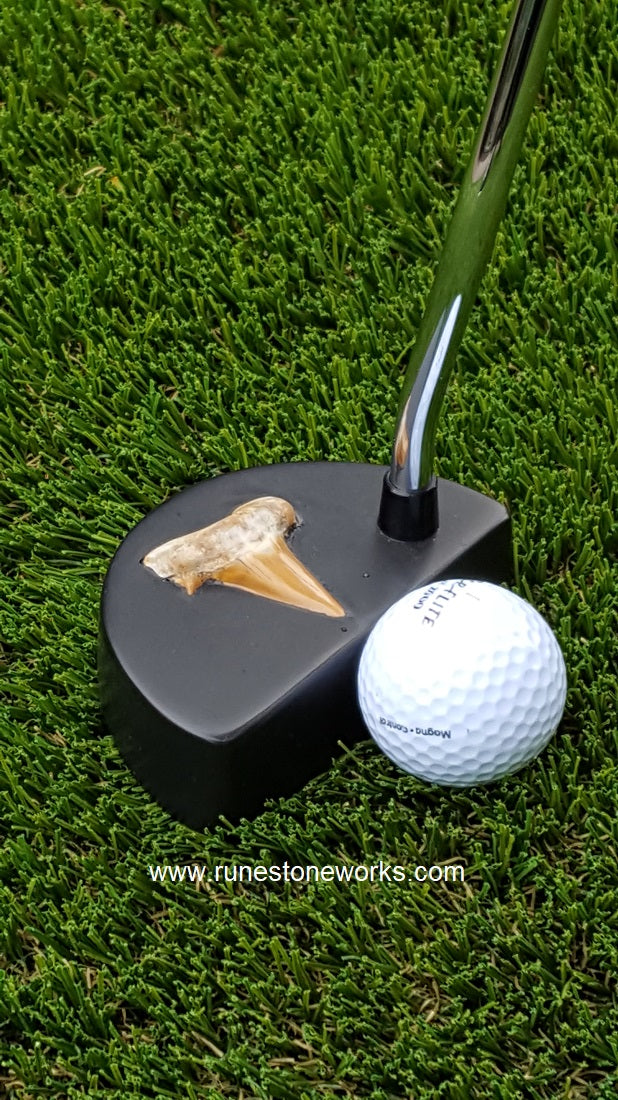 Fossil Series Stone Putter